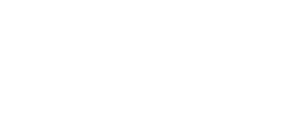 Logo Reversed